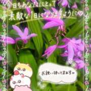 ヒメ日記 2026/09/21 16:50 投稿 みゆ 熟女の風俗最終章 蒲田店