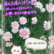 ヒメ日記 2026/09/27 17:50 投稿 みゆ 熟女の風俗最終章 蒲田店