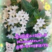 ヒメ日記 2026/09/28 16:36 投稿 みゆ 熟女の風俗最終章 蒲田店