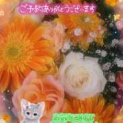ヒメ日記 2026/10/01 16:50 投稿 みゆ 熟女の風俗最終章 蒲田店
