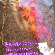 ヒメ日記 2026/10/07 16:28 投稿 みゆ 熟女の風俗最終章 蒲田店