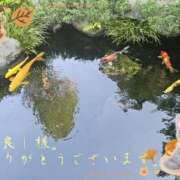 ヒメ日記 2026/10/07 16:31 投稿 みゆ 熟女の風俗最終章 蒲田店