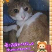 ヒメ日記 2026/10/08 16:20 投稿 みゆ 熟女の風俗最終章 蒲田店