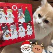 ヒメ日記 2024/12/23 16:25 投稿 まい 梅田人妻秘密倶楽部