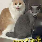 ヒメ日記 2025/02/09 00:00 投稿 まい 梅田人妻秘密倶楽部