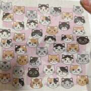 ヒメ日記 2025/03/08 00:00 投稿 まい 梅田人妻秘密倶楽部