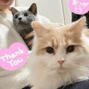 ヒメ日記 2025/04/13 23:50 投稿 まい 梅田人妻秘密倶楽部