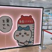 ヒメ日記 2025/04/18 23:50 投稿 まい 梅田人妻秘密倶楽部