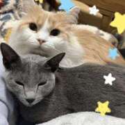 ヒメ日記 2025/05/10 23:55 投稿 まい 梅田人妻秘密倶楽部