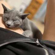 ヒメ日記 2025/05/26 11:20 投稿 まい 梅田人妻秘密倶楽部