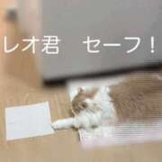 ヒメ日記 2025/06/07 00:00 投稿 まい 梅田人妻秘密倶楽部