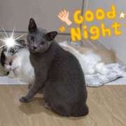 ヒメ日記 2025/07/15 23:30 投稿 まい 梅田人妻秘密倶楽部