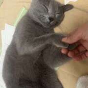 ヒメ日記 2025/08/17 23:40 投稿 まい 梅田人妻秘密倶楽部