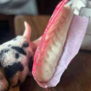 ヒメ日記 2025/11/23 14:50 投稿 まい 梅田人妻秘密倶楽部