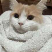 ヒメ日記 2025/12/06 00:00 投稿 まい 梅田人妻秘密倶楽部