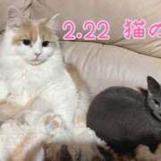 ヒメ日記 2026/02/22 23:45 投稿 まい 梅田人妻秘密倶楽部