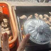 ヒメ日記 2026/03/20 22:10 投稿 まい 梅田人妻秘密倶楽部