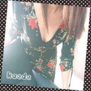 ヒメ日記 2025/07/05 09:45 投稿 かえで 人妻の秘密成田店