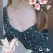 ヒメ日記 2025/08/09 09:50 投稿 かえで 人妻の秘密成田店