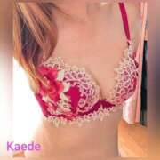 ヒメ日記 2025/09/18 09:40 投稿 かえで 人妻の秘密成田店