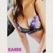 ヒメ日記 2026/03/07 09:56 投稿 かえで 人妻の秘密成田店