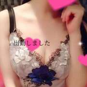 ヒメ日記 2024/12/14 08:45 投稿 つばき 激安ドットコム