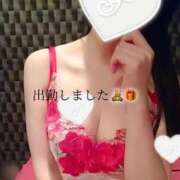 ヒメ日記 2024/12/21 08:45 投稿 つばき 激安ドットコム