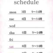 ヒメ日記 2025/01/31 11:00 投稿 つばき 激安ドットコム