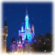 ヒメ日記 2025/02/07 12:53 投稿 つばき 激安ドットコム