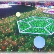 ヒメ日記 2025/02/19 11:30 投稿 つばき 激安ドットコム