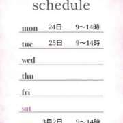 ヒメ日記 2025/02/21 11:00 投稿 つばき 激安ドットコム