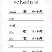 ヒメ日記 2025/02/28 11:00 投稿 つばき 激安ドットコム