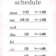 ヒメ日記 2025/03/28 11:00 投稿 つばき 激安ドットコム