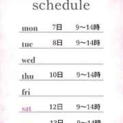 ヒメ日記 2025/04/04 07:30 投稿 つばき 激安ドットコム
