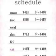 ヒメ日記 2025/04/11 08:00 投稿 つばき 激安ドットコム