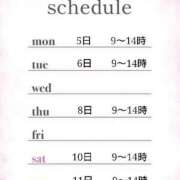 ヒメ日記 2025/05/02 08:30 投稿 つばき 激安ドットコム