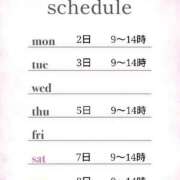 ヒメ日記 2025/05/30 08:30 投稿 つばき 激安ドットコム