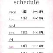 ヒメ日記 2025/06/06 11:00 投稿 つばき 激安ドットコム