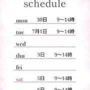 ヒメ日記 2025/06/27 08:30 投稿 つばき 激安ドットコム