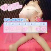 ヒメ日記 2025/07/28 08:45 投稿 つばき 激安ドットコム