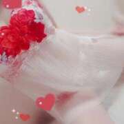 ヒメ日記 2025/09/23 10:00 投稿 つばき 激安ドットコム