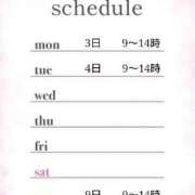 ヒメ日記 2025/10/31 12:00 投稿 つばき 激安ドットコム