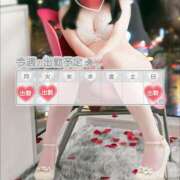 ヒメ日記 2025/11/03 07:00 投稿 つばき 激安ドットコム