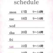 ヒメ日記 2025/11/14 11:30 投稿 つばき 激安ドットコム