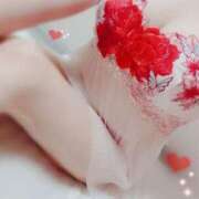 ヒメ日記 2025/11/25 08:45 投稿 つばき 激安ドットコム