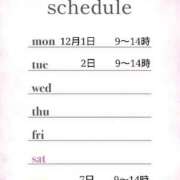 ヒメ日記 2025/11/26 16:30 投稿 つばき 激安ドットコム