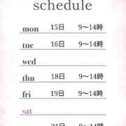 ヒメ日記 2025/12/12 11:45 投稿 つばき 激安ドットコム