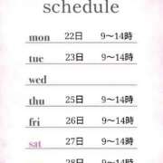 ヒメ日記 2025/12/20 11:30 投稿 つばき 激安ドットコム
