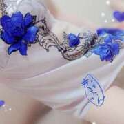 ヒメ日記 2026/02/12 08:45 投稿 つばき 激安ドットコム