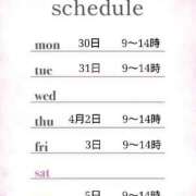 ヒメ日記 2026/03/26 11:30 投稿 つばき 激安ドットコム
